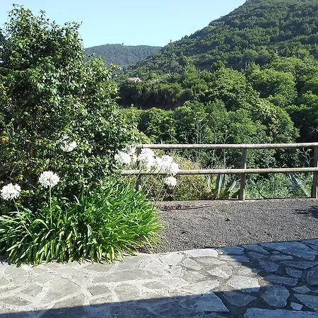 Casa La Camelia Holiday home Puntallana